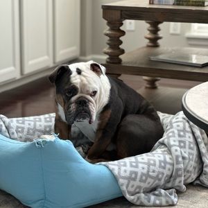 Meet your Posher, Tara